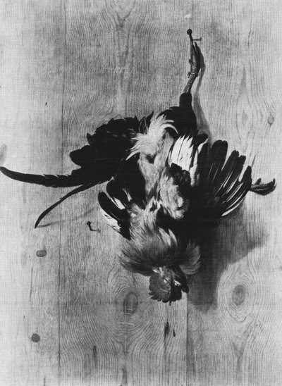 Dead Rooster Hanging on a Nail by Melchior de Hondecoeter